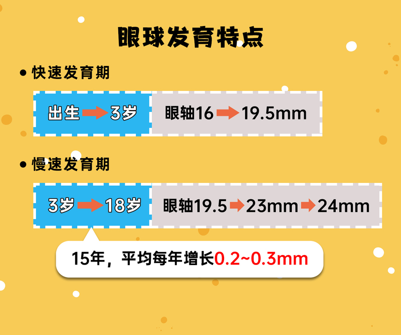 眼球发育特点2.jpg