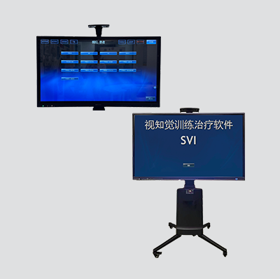 SVI脑知觉训练系统